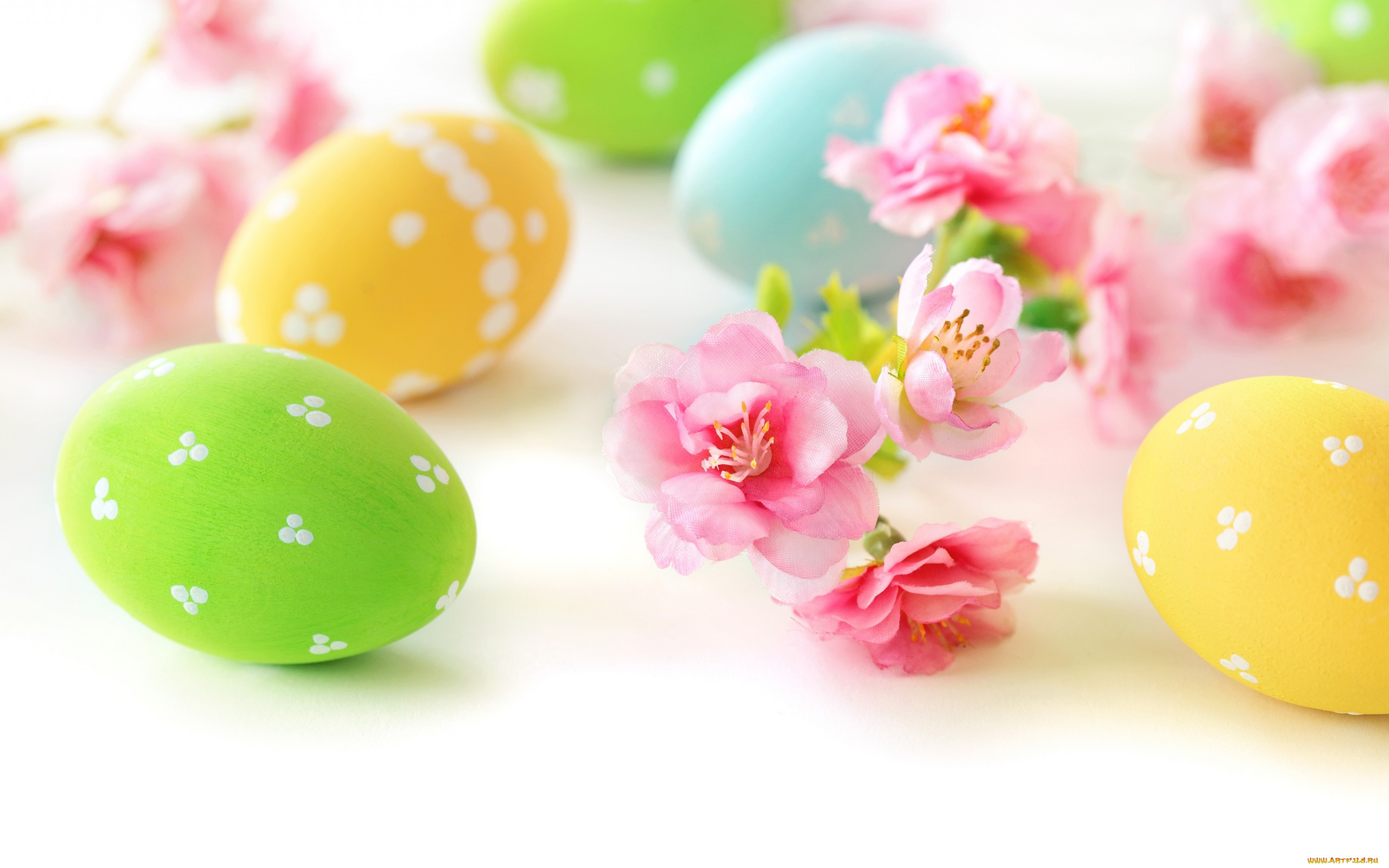 , , , , delicate, eggs, flowers, easter